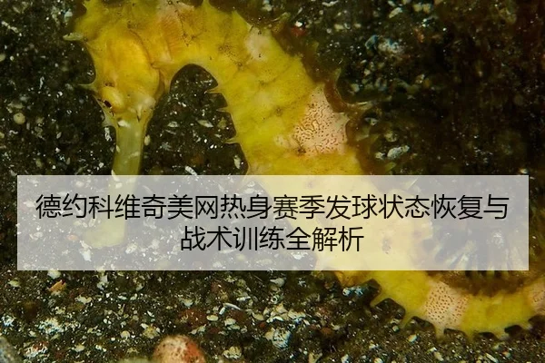 de-yue-ke-wei-qi-mei-wang-re-shen-sai-ji-fa-qiu-zhuang-tai-hui-fu-yu-zhan-shu-xun-lian-quan-jie-xi-2-287.jpg