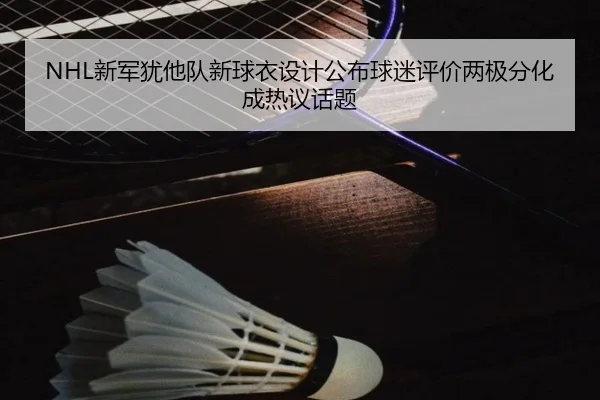xin-jun-you-ta-dui-xin-qiu-yi-she-ji-gong-bu-qiu-mi-ping-jia-liang-ji-fen-hua-cheng-re-yi-hua-ti-3-425.jpg