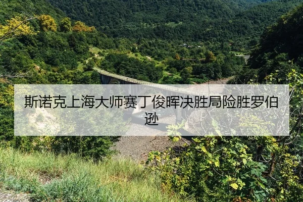 si-nuo-ke-shang-hai-da-shi-sai-ding-jun-hui-jue-sheng-ju-xian-sheng-luo-bo-xun-2-630.jpg