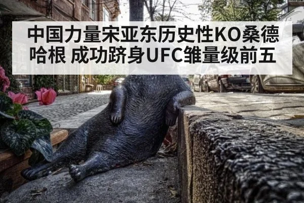 中国力量宋亚东历史性KO桑德哈根 成功跻身UFC雏量级前五